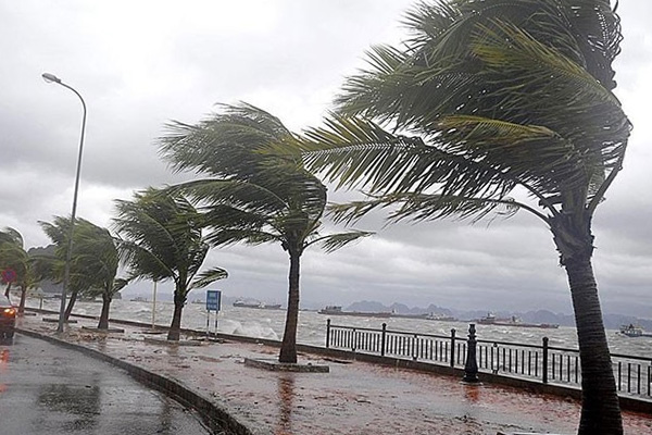 Meteoroloji uyardı! Kuvvetli rüzgar geliyor