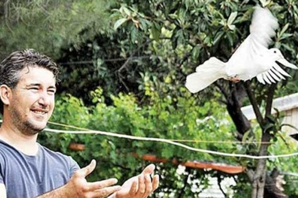 Telefon çekmediğinde güvercini kullanıyor