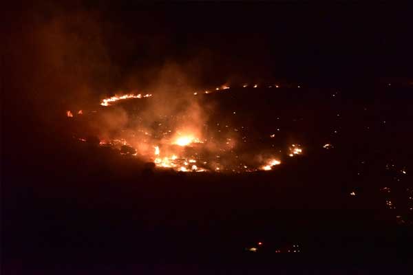 Bodrum'da korkutan yangın