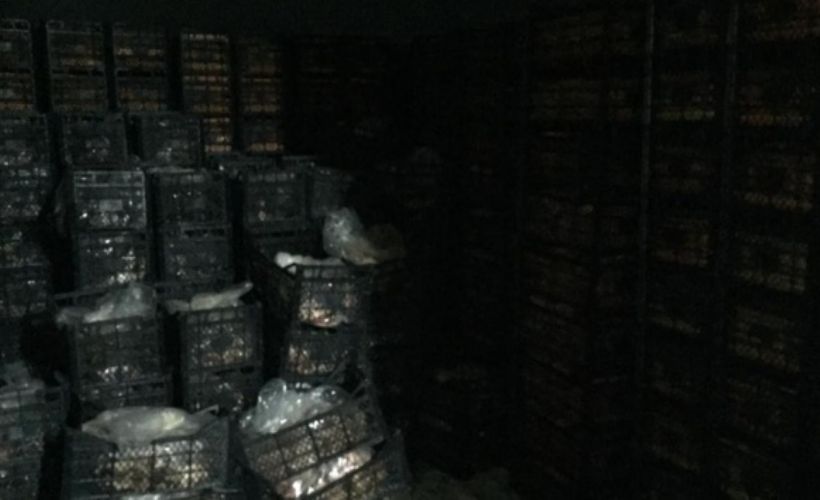 Adana'da fakirlere dağıtma bahanesiyle 41 ton toplanan et ticari amaçla kullanıldı