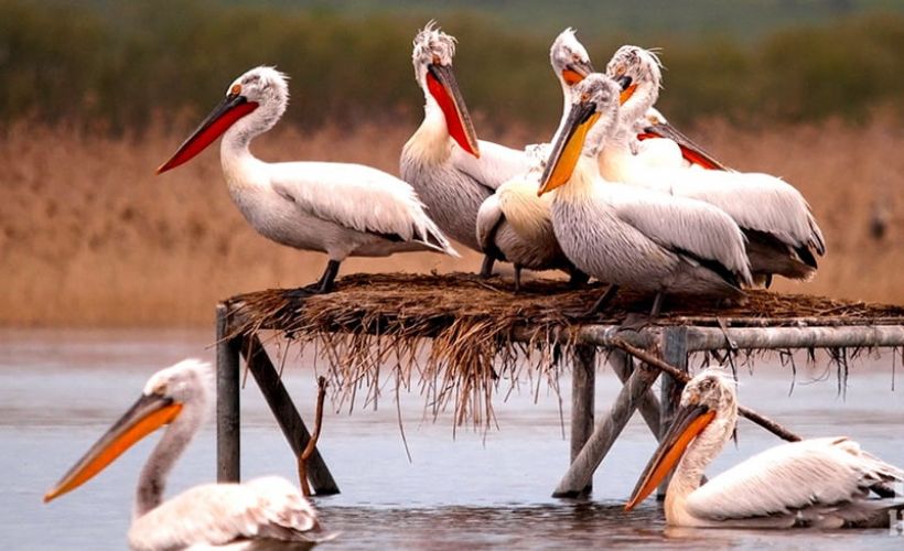 Balıkesir milli parklarıyla ilgi odağı