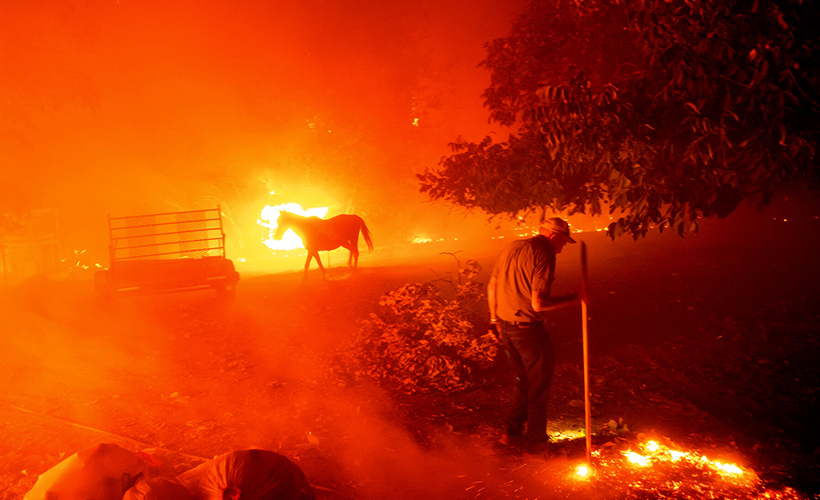 Kalifornia, yangınlarla mücadele ediyor