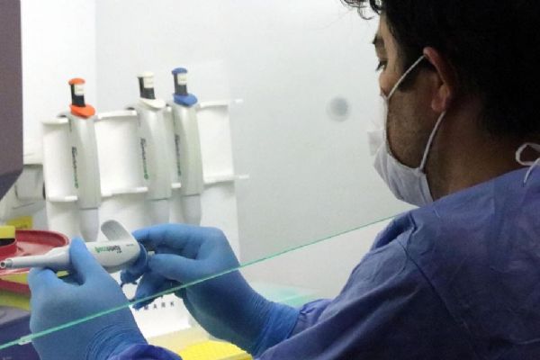 Afrika Birliği'nden koronavirüs testi kampanyası