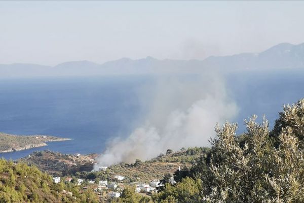 Bodrum'da çıkan orman yangını kontrol altına alındı