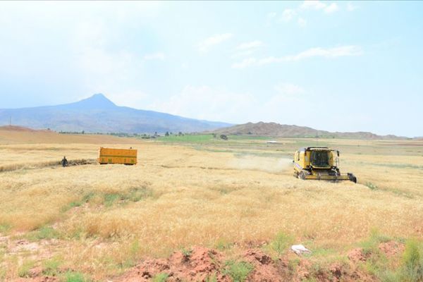 Terk edilen tarım arazileri çevrim içi toplantıda görüşüldü
