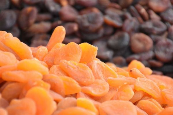 Malatya'da üretilen kuru kayısının yüzde 40'ı Ege'den ihraç ediliyor