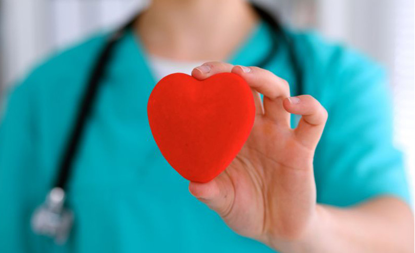 İlk kez kök hücrelerden fonksiyonel mini kalpler üretildi