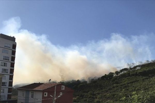 Maltepe'de ormanlık alanda yangın