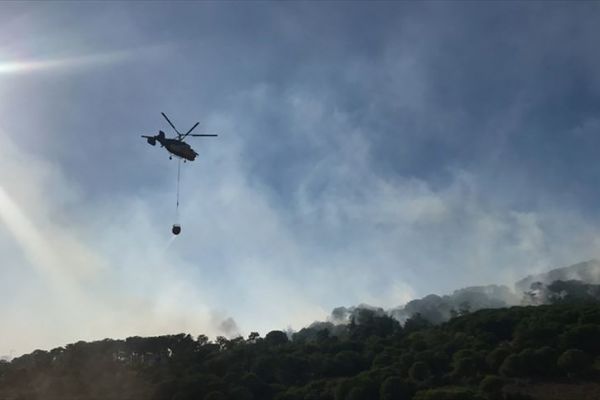 Maltepe'de ormanlık alanda çıkan yangın söndürüldü