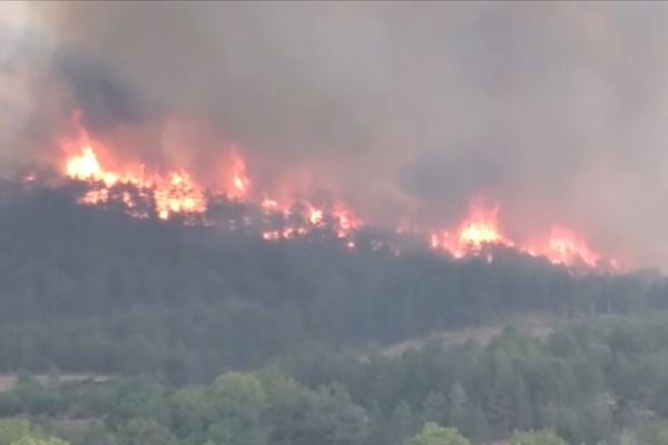 Ankara'da orman yangını