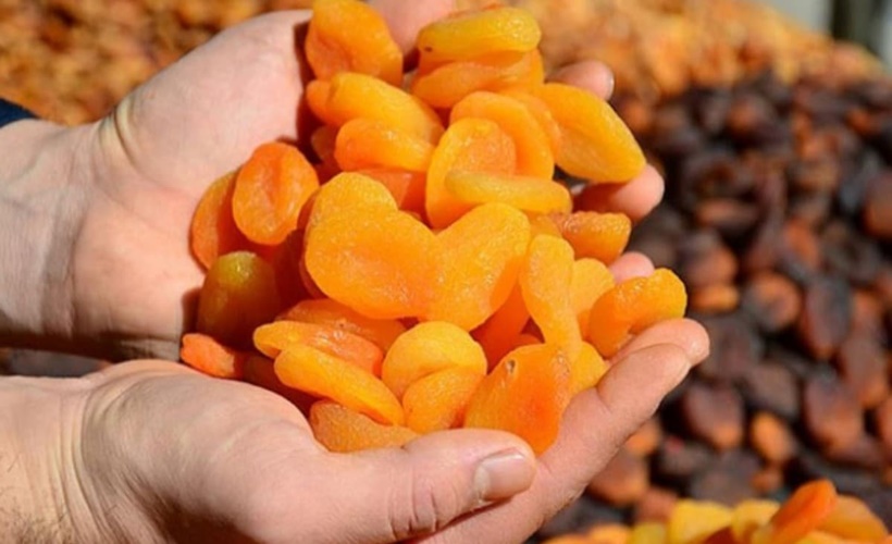 Malatya Kayısısı'nda tehlike sinyali