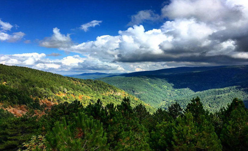 Bol oksijen ise tercih; Kaz dağları