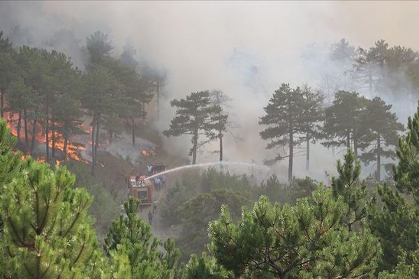 Denizli'de orman yangını