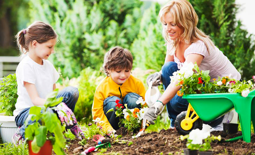 Belçika’da çocuklarla ilgili ‘ilginç’ araştırma!