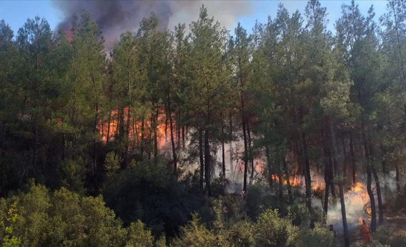 Muğla'da çıkan orman yangın kontrol altına alındı