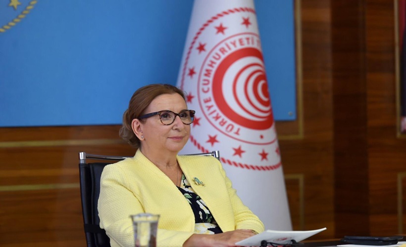 Bakan Pekcan'dan HAK'lı ücret açıklaması