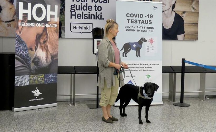 Covid-19 avcısı köpekler görevde