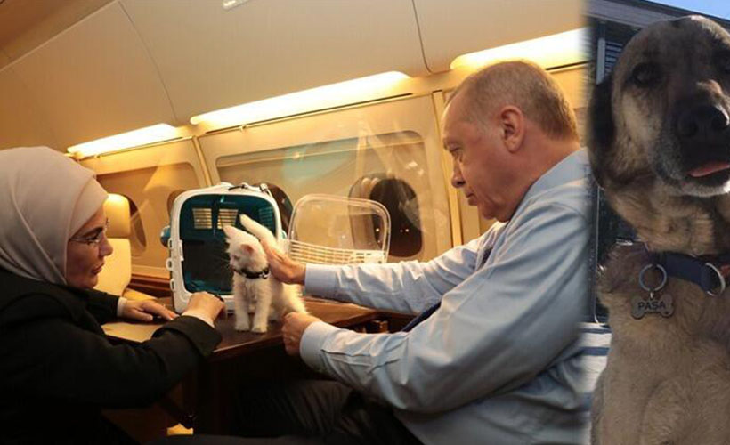 Emine Erdoğan'dan, 'Hayvanları Koruma Günü' paylaşımı