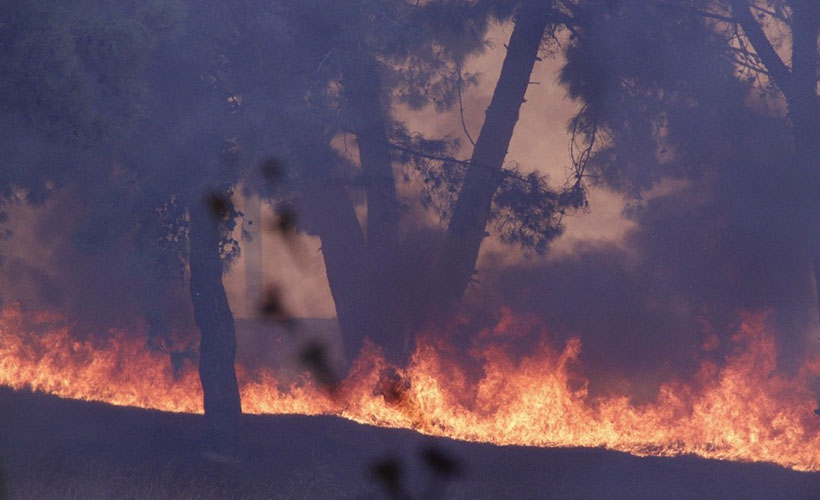 Hatay'daki orman yangını sürüyor