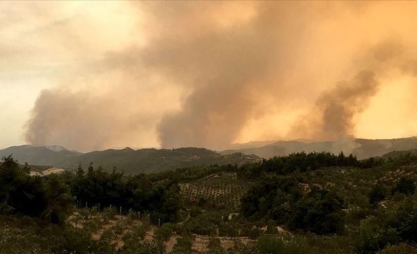 Suriye'deki orman yangınları sürüyor