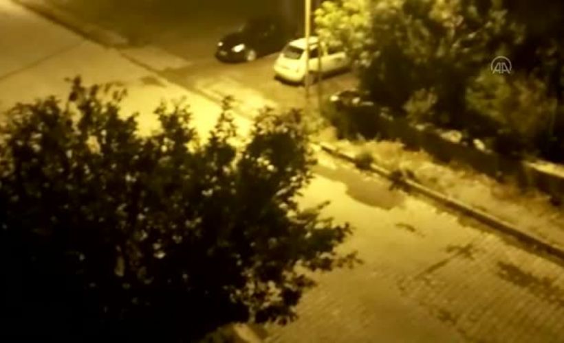 Sarıkamış'ta mahalleye inen bozayı park halindeki motosiklete zarar verdi