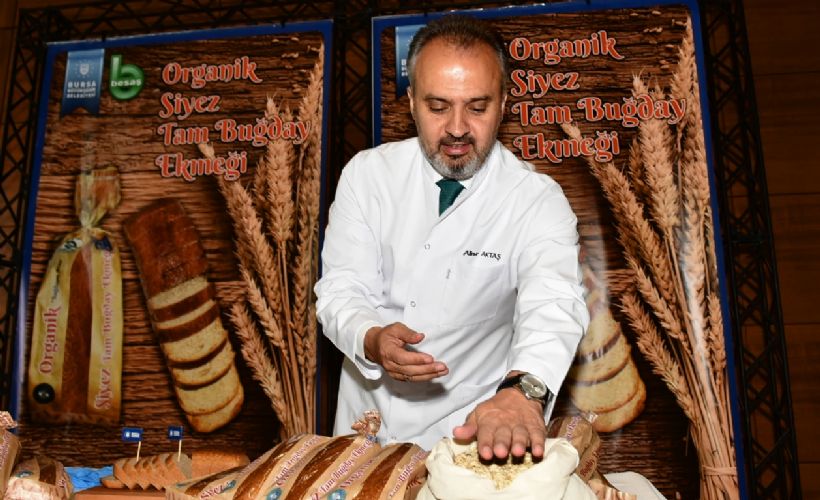 Buğdayın atası artık Bursa’da üretiliyor
