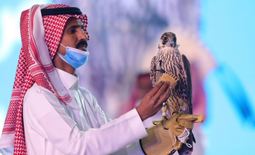 Dünyanın en değerli şahini tanıtıldı