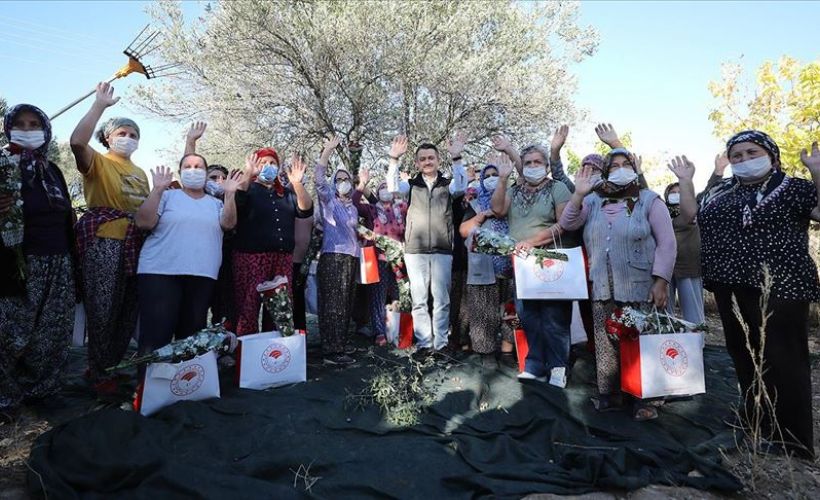 Bakan Pakdemirli kadın çiftçilerle zeytin hasadına katıldı