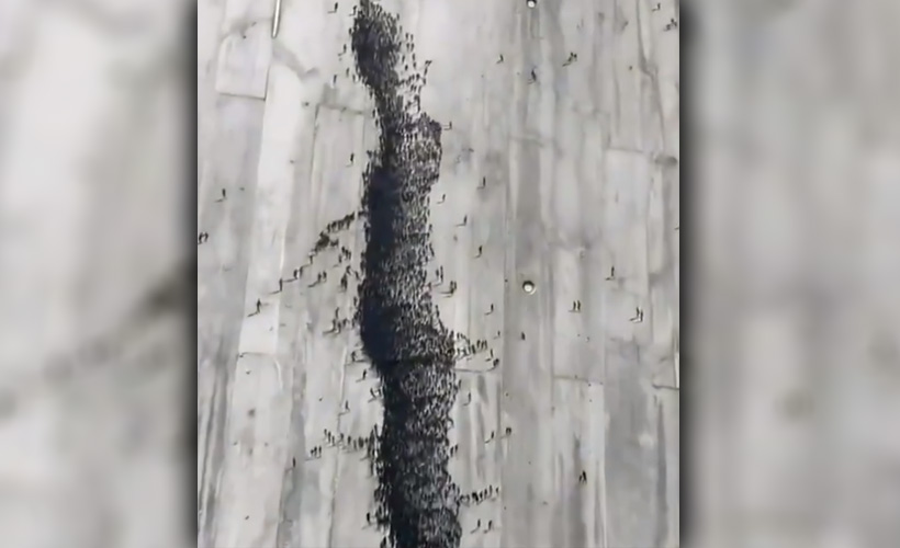 Sokak sanatçısı Pejac’dan ''sosyal mesafe'' temalı çalışma