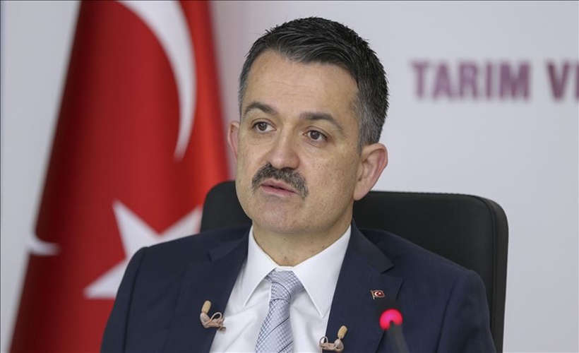 Bakan Pakdemirli duyurdu: Hatay’daki yangın kontrol altına alındı