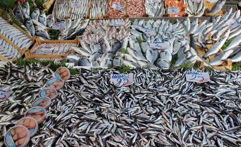 Hamsi bollaştı, fiyatlar düşmeye başladı