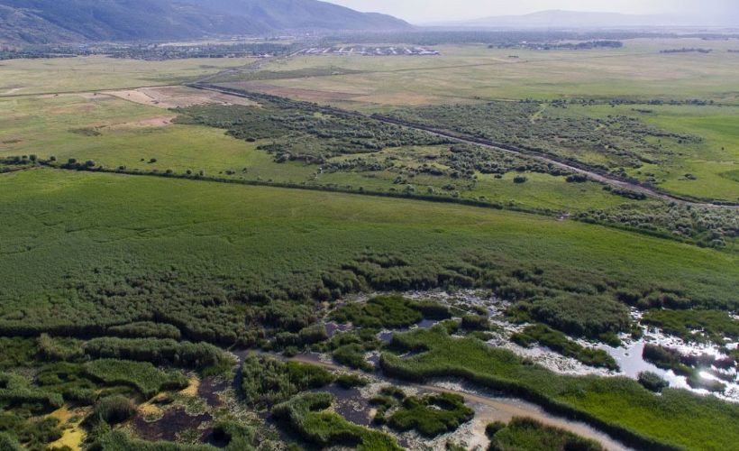 Üç ilde bazı bölgeler, 'kesin korunacak hassas alan' ilan edildi