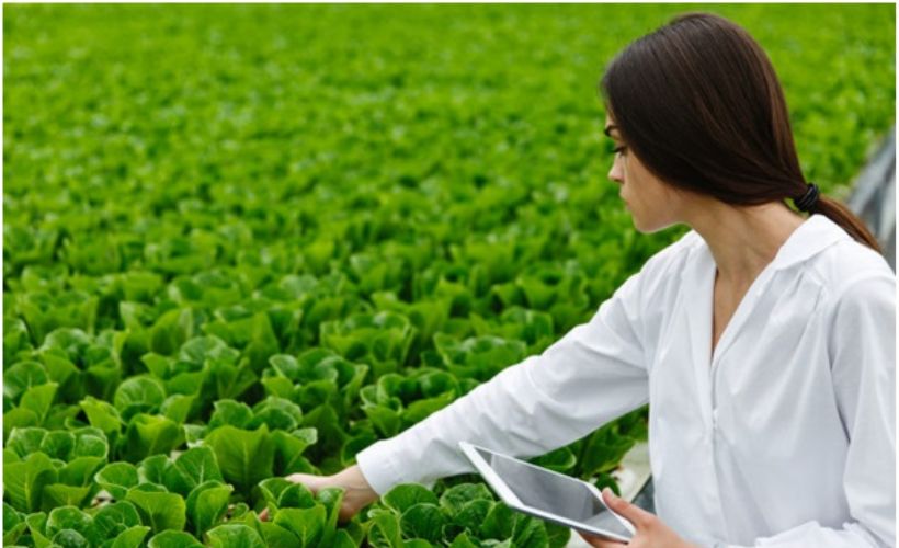 Bankacılık sektöründe dijitalleşme adımları