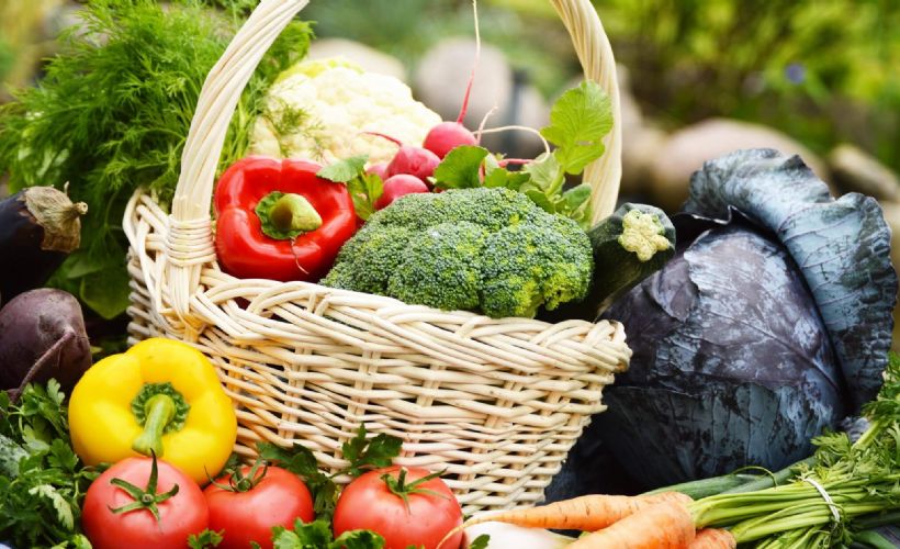 Türkiye, organik tarımda dünya 6'ıncısı