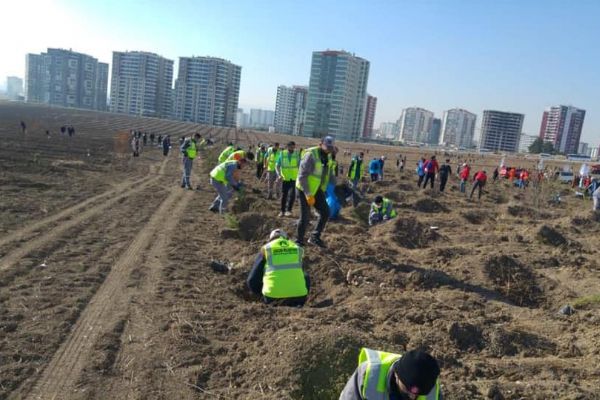Sincan Belediyesinden fidan dikim seferberliği