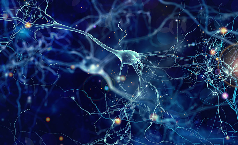 Beyin'deki 'moleküler hacim yumrusu' ne işe yarar?