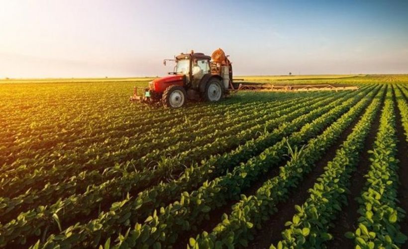 Tarım ve Orman Bakanlığı'ndan 520 TL destek ödemesi