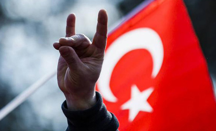 Almanya'da ülkücü derneklerin yasaklanması gündemde