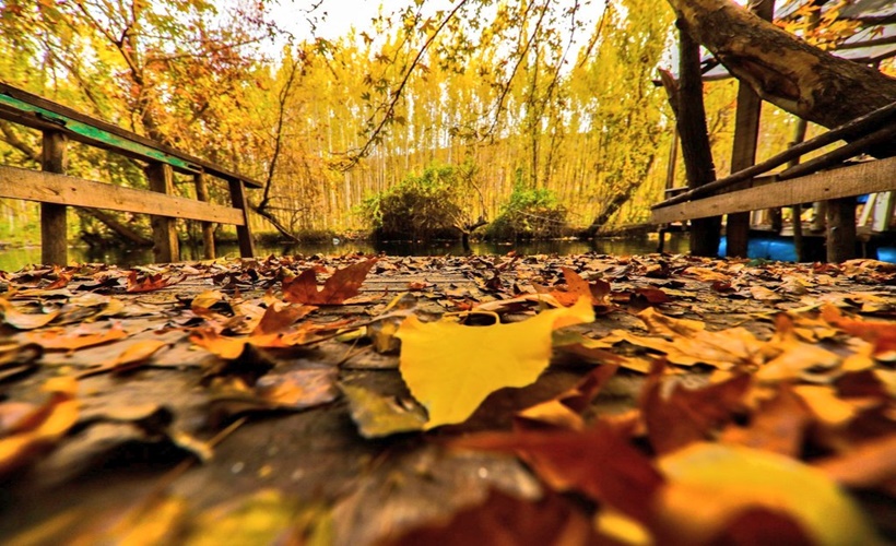 Güney'i sonbaharda keşfe hazır mısınız?