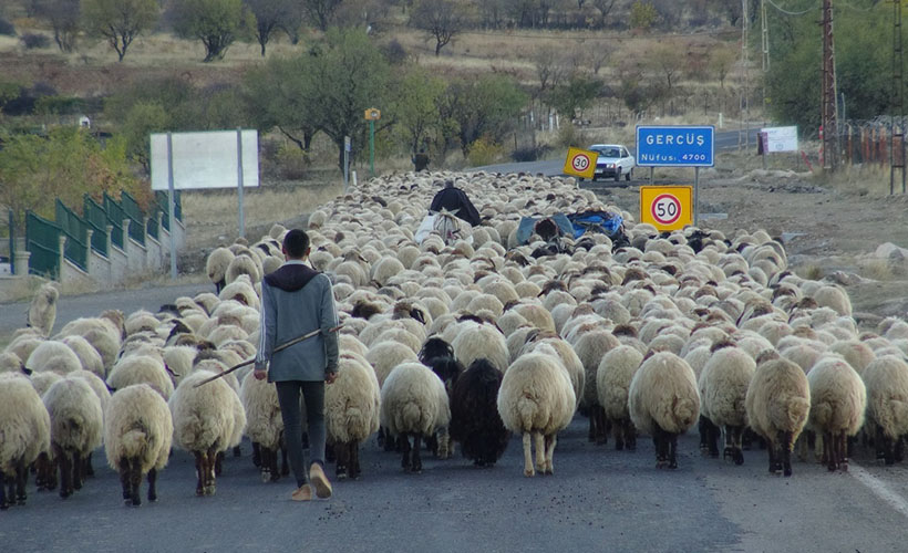 Göçerlerin zorlu dönüş yolculuğu