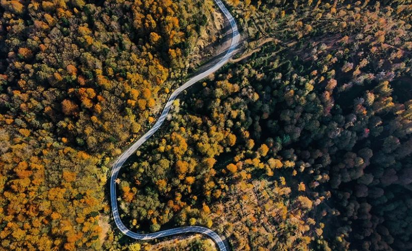 Çam Dağı güz renkleriyle görsel şölen sunuyor