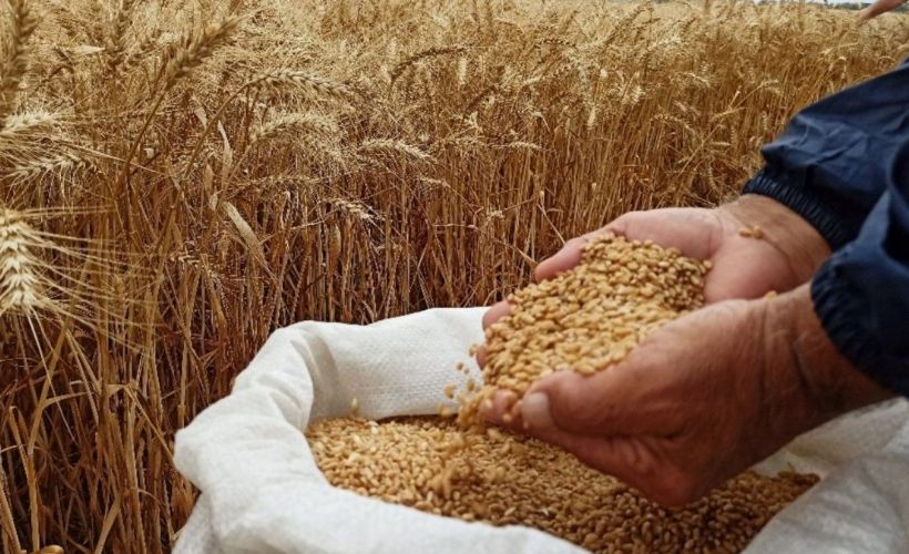 Buğday, arpa ve mısırda gümrük vergisi sıfırlandı