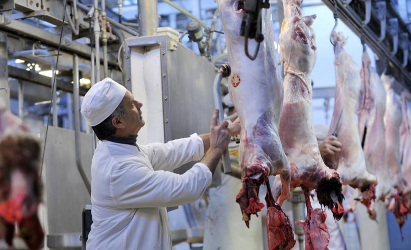 AB ülkelerinde dini usullerle hayvan kesimi yasaklandı