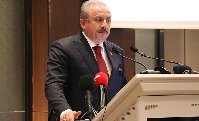 'Türkçe olmasaydı tarihteki varlığımızdan bile söz edemeyecektik'
