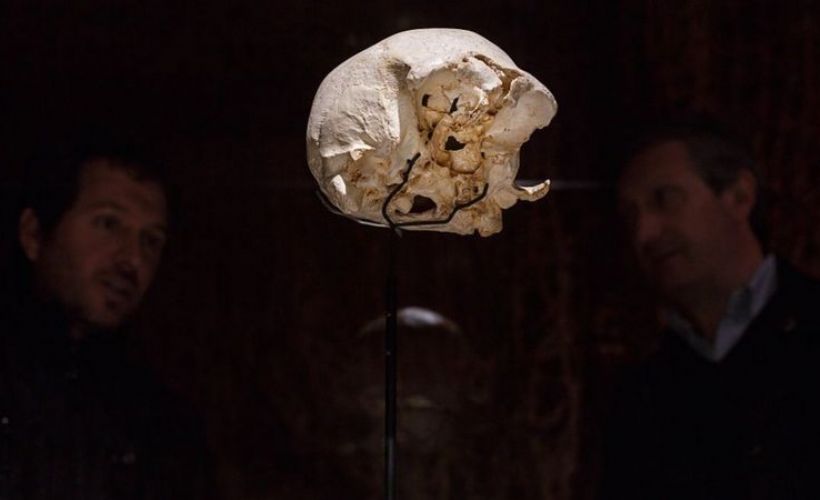 İlk insanlar mücadele için kış uykusuna yatmış olabilir