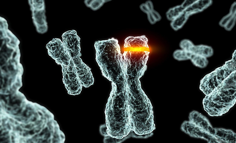 Mutasyon ne kadar tehlikeli?