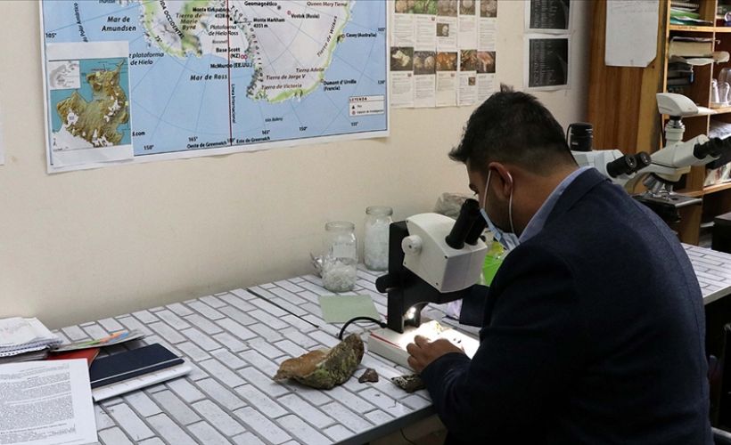 Antarktika'nın likenleri Türk bilim insanına TÜBA ödülünü kazandırdı