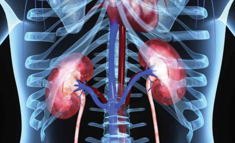 Ciddiye alınması gereken böbrek yetmezliğinin 6 belirtisi