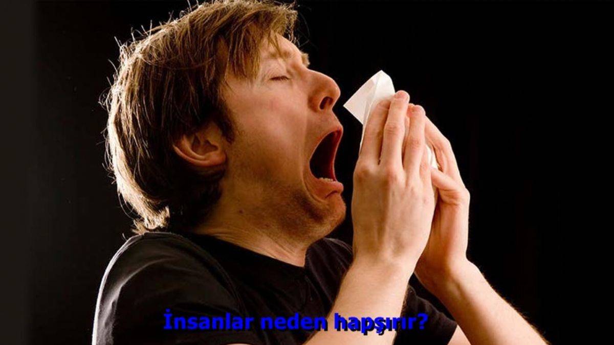 İnsanlar neden hapşırır?