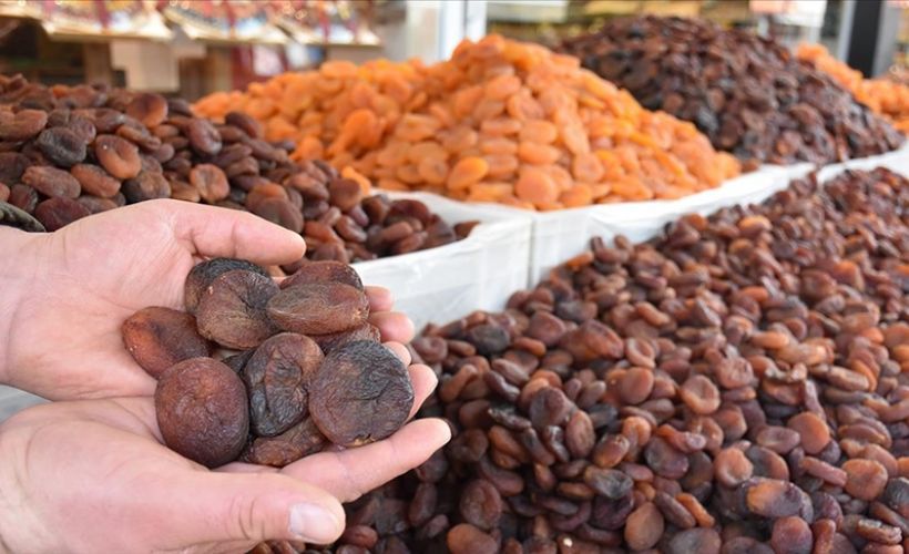 Malatya'dan 100 ülkeye 266 milyon dolarlık kuru kayısı ihracatı yapıldı